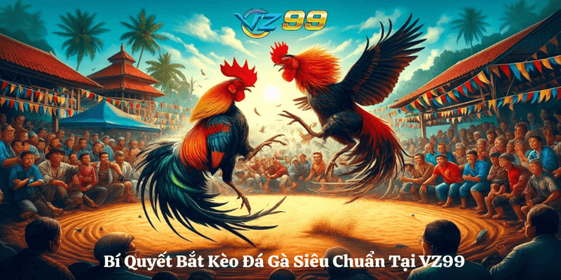 Giới thiệu về sảnh đá gà nhà cái Vz99